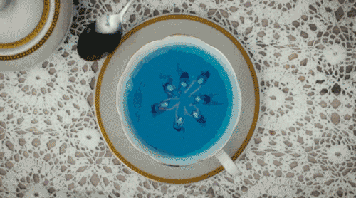 5.gif