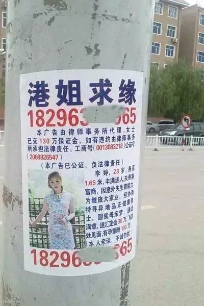 17.webp.jpg