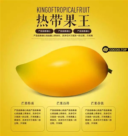 搭配12.webp.jpg